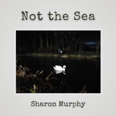 Not the Sea EP - 2023