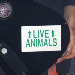 1. Intro - LIVE ANIMALS FOREVER