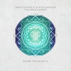 Dustin Nantais & David Hohme - The Predicament (Soulfeed Remix)