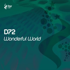 [OUT NOW!] D72 - Wonderful World (Extended Mix) [TAR#138]