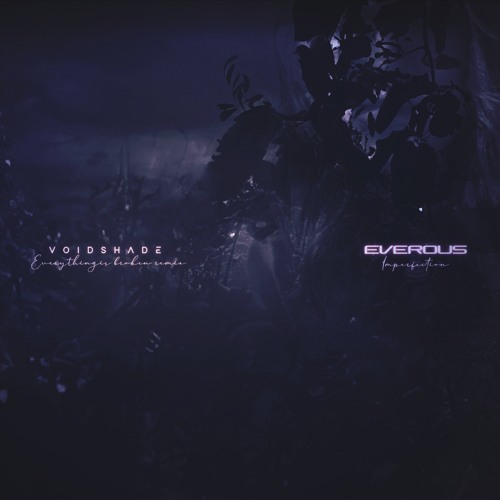 EVEROUS - Imperfection (VOIDSHADE remix)