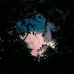 That's what she said