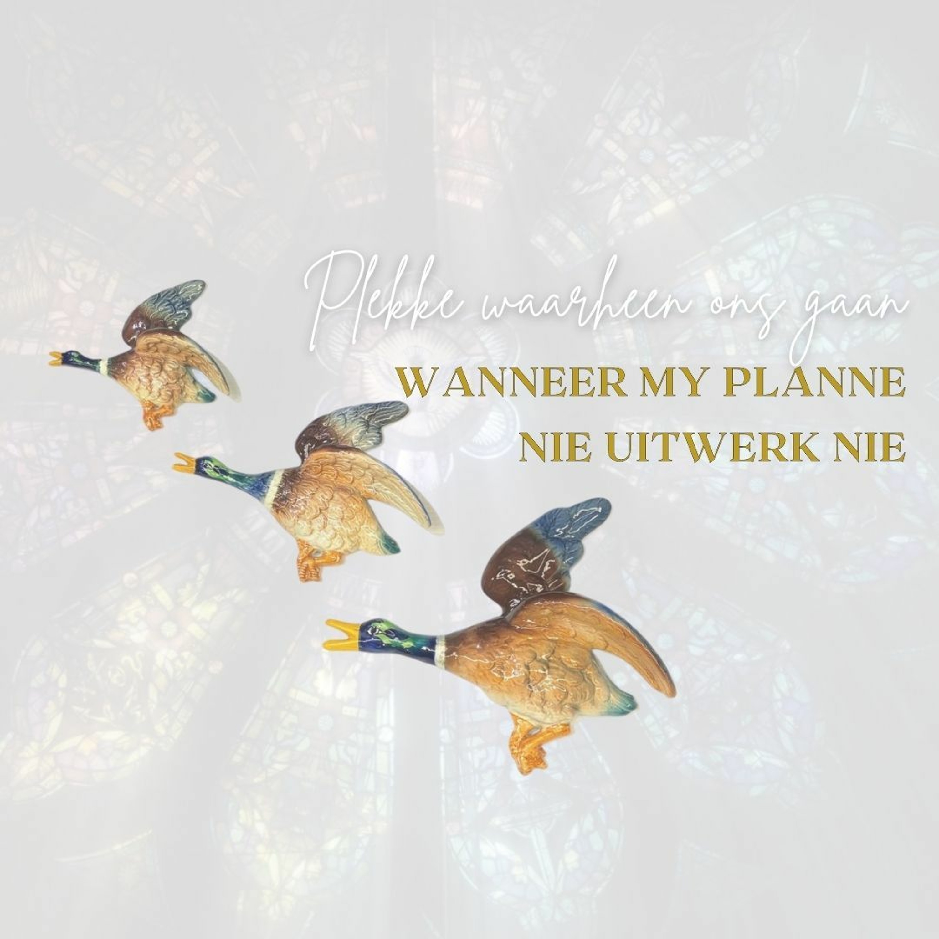 Hoe sê ek 'JA' wanneer my planne nie uitwerk nie?... met Frieda van den Heever