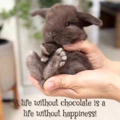 This Is Rlly Dangerous