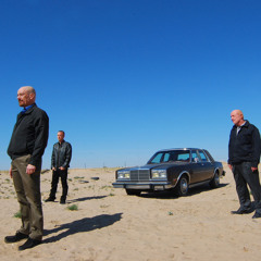 We had a good thing you stupid son of b*tch - Mike Ermentraut (Breaking Bad)