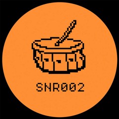 SNR002 Snippets