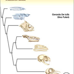 [View] EPUB 📩 The Dissection of Vertebrates by  Gerardo De Iuliis PhD &  Dino Pulerà
