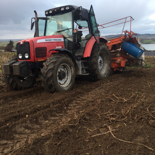 Sean Stemaly - Last Night All Day