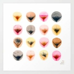 RUBICS PUBE