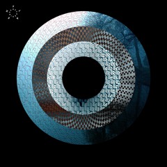 Florian Meindl - Common Paths [ FLASH Recordings ]