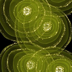 iowa by slipknot | ray’s cover