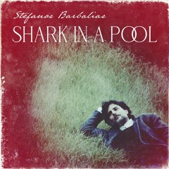 SHADOWS SUIT YOU BEST