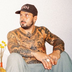 ZWANGERE GUY - BETER LEVEN (STEEZ NUTZ REMIX)