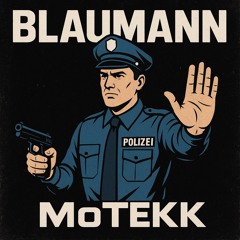 Blaumann-MoTekk