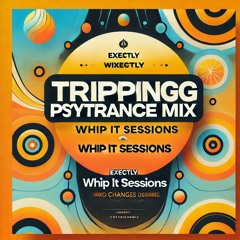 Tripping Psytrance Mix 🎧 BPM 138 to 148 🚀 Nov 2024 ❤️ Whip It 029