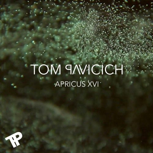 TOM PAVICICH I APRICUS XVI