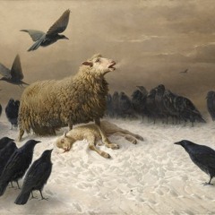 Lambs to the Slaughter