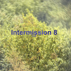 INTERMISSION 8