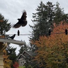 How can you be kidding me?