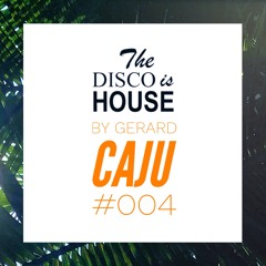 Gerard T-DisH Caju #004
