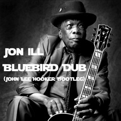 Bluebird Dub (John Lee Hooker DNB Bootleg)[FREE DL}