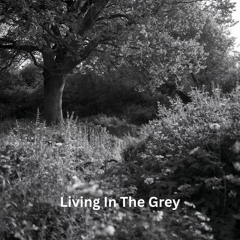 Living In The Grey