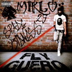 Fly Guero