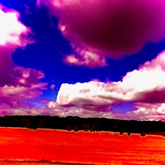 VERNUNFT - SESSIONS""19