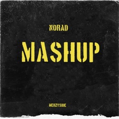 Norad Mashup - Merzyside