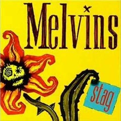 The Melvins - The Bit - Cover by Sean Motley