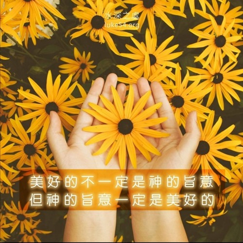 Stream 单纯的信托 Mp3 By Hannah Ting Listen Online For Free On Soundcloud