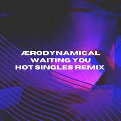 Waiting You (Hot Singles Remix)