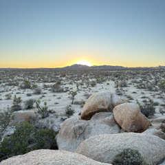 Desert Rhythms