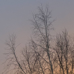 (i) верни мои деньги