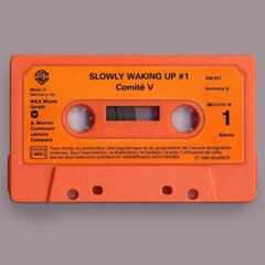 Slowly Waking Up  #01 (All Vinyl mix)