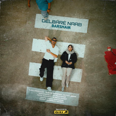 Delbare Naab