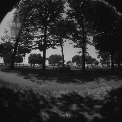 abcission - 6_13_25, 12.40 AM