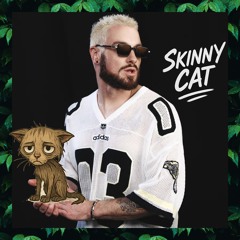 James Hype & Major Lazer - Number 1 (Skinny Cat Remix) #Hiibizaremixed