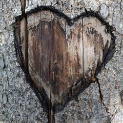 𝙠𝙞𝙡𝙡𝙠𝙖𝙣𝙞 - 𝙆𝙞𝙡𝙡 𝙃𝙚𝙖𝙧𝙩𝙨 (𝙥𝙧𝙤𝙙. 𝙚𝙛𝙚, 𝙘𝙧𝙤𝙬 & 𝙙𝙖𝙧𝙠𝙬𝙤𝙤𝙙𝙯)