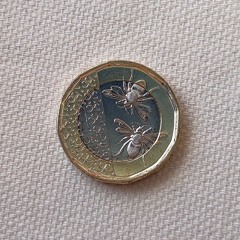 2 lifetimes ⋆₊  {jasey}