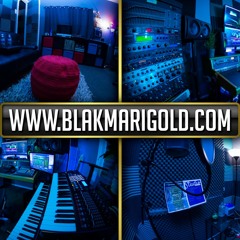 Prince - Welcome to the Kingdom Freestyle - MASTER