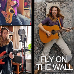 FLY ON THE WALL