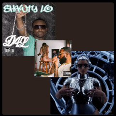 My House X Shawty Lo Full