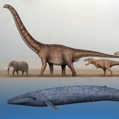 Mamãe deixa eu te contar