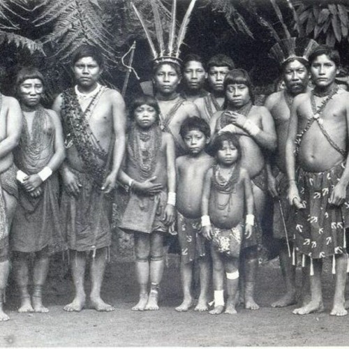 KARIÑA SELVATICA @djwilliamrivero2