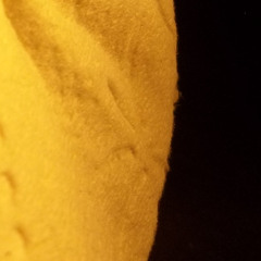 boreal 6902862930421