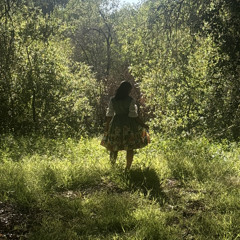 lillie. - Life
