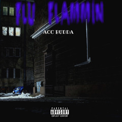 FLU FLAMMIN/F.I.A