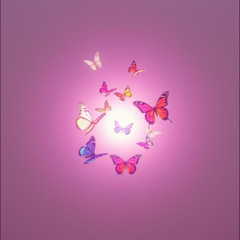 butterflies