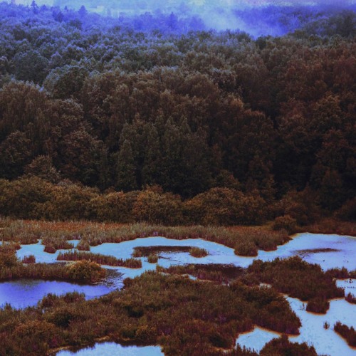 quiet place